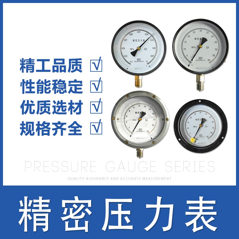 产品中心-Y-M系列隔膜压力表 | 304不锈钢 螺纹连接 M20×1.5